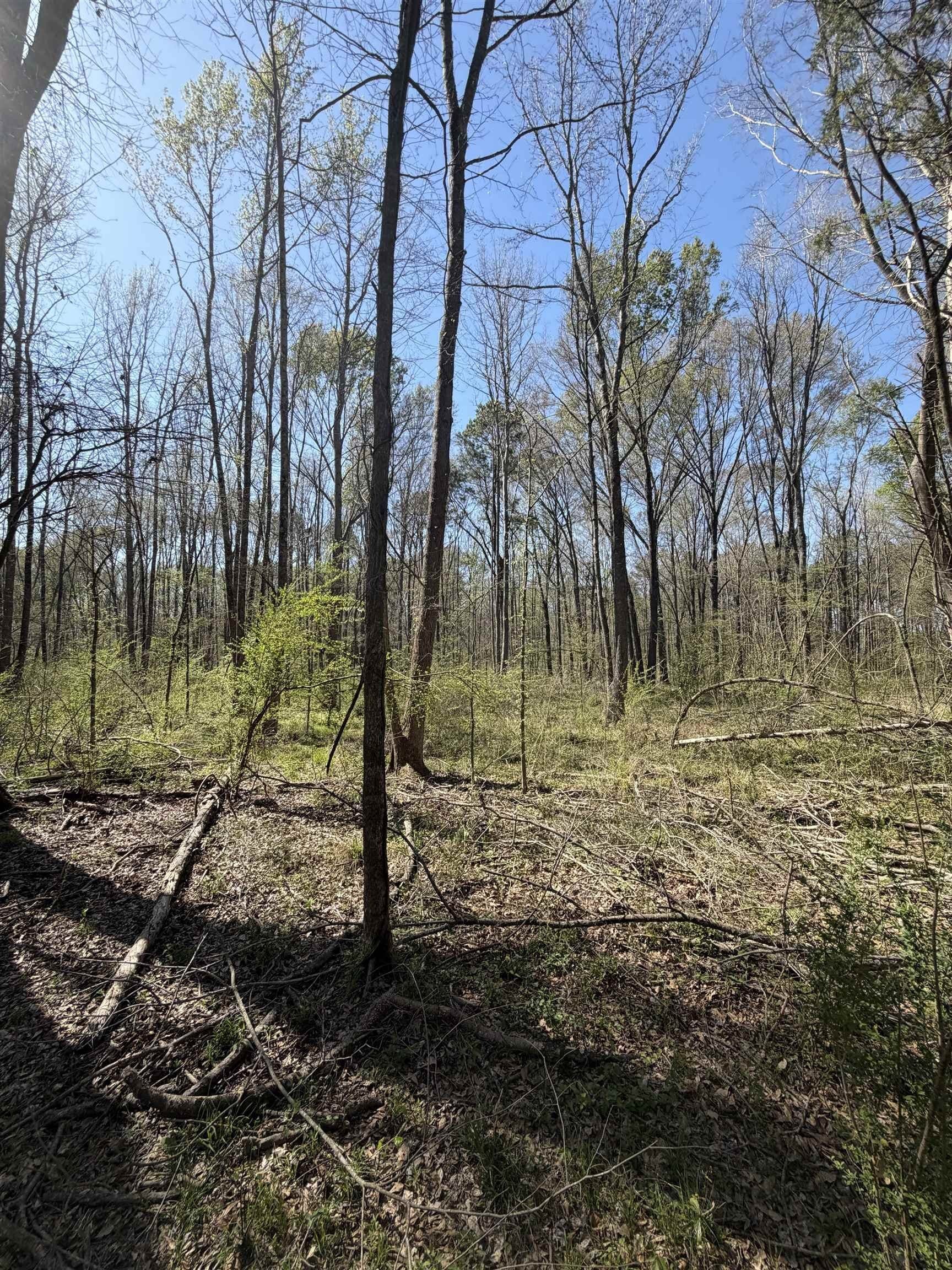 23.03 acres in Texas County - photo 12