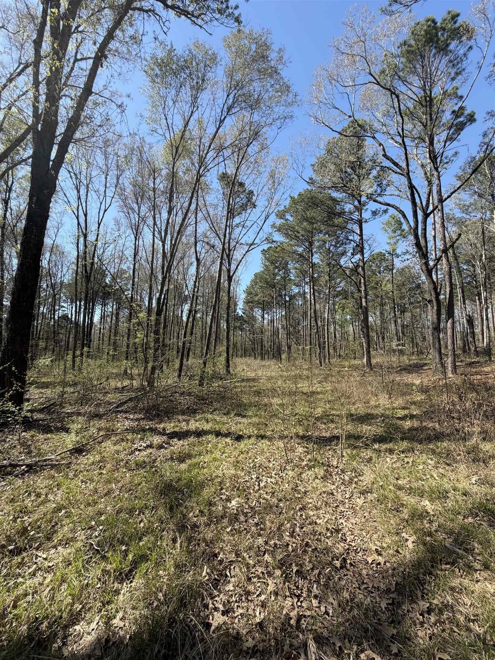 23.03 acres in Texas County - photo 8