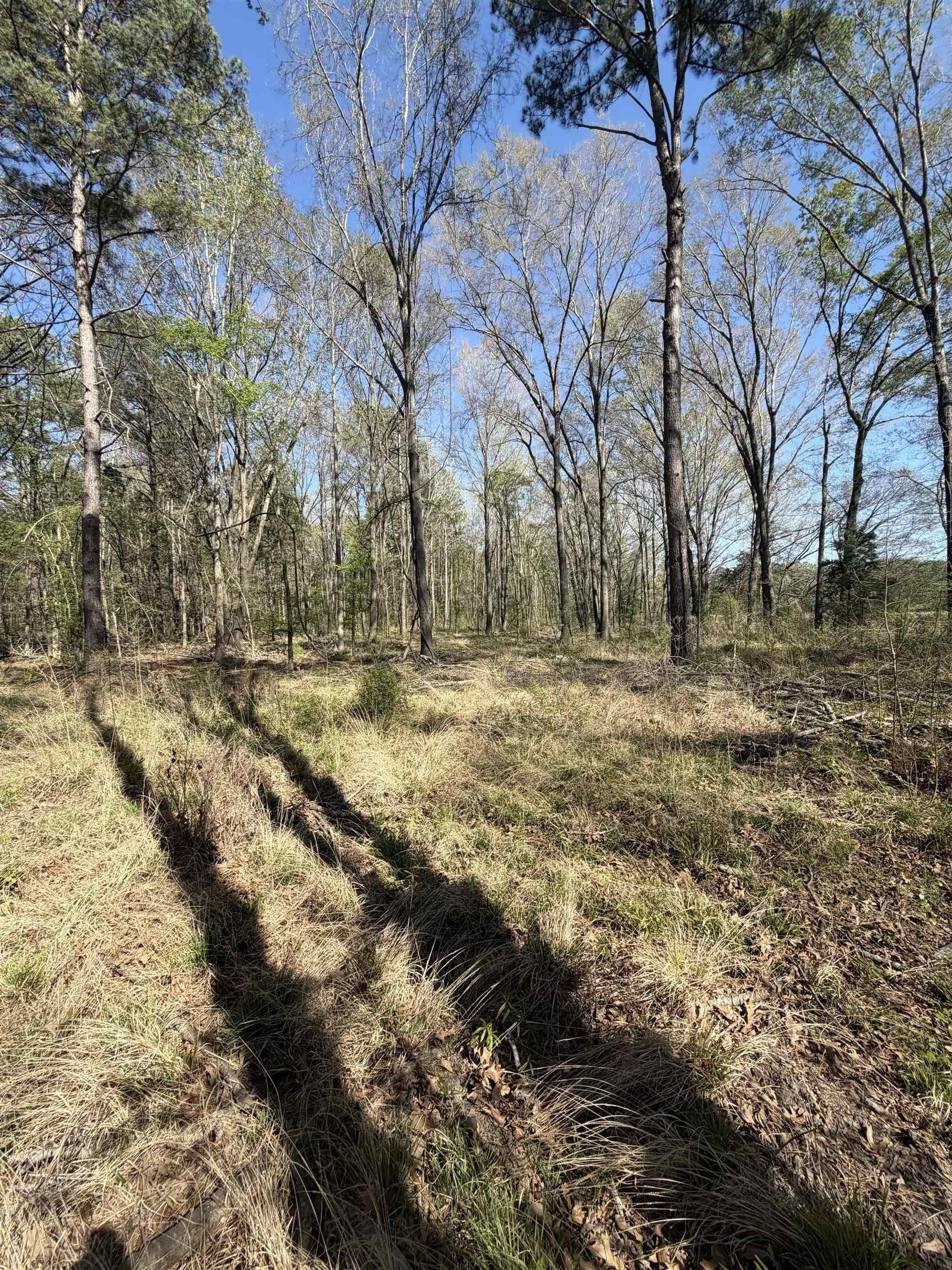 23.03 acres in Texas County - photo 13