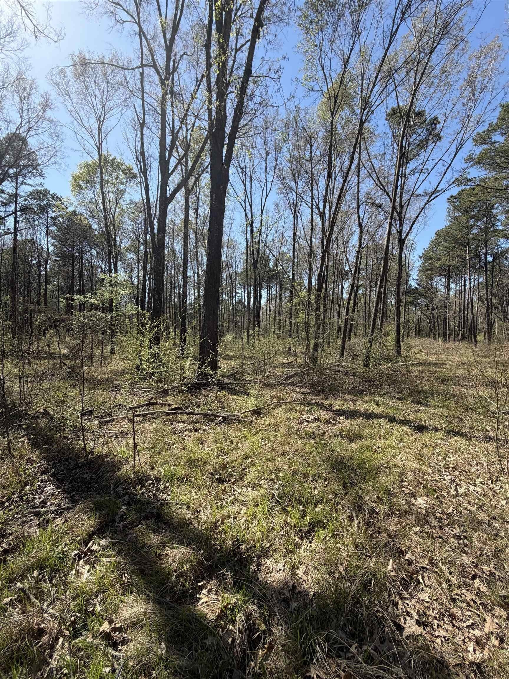 23.03 acres in Texas County - photo 9