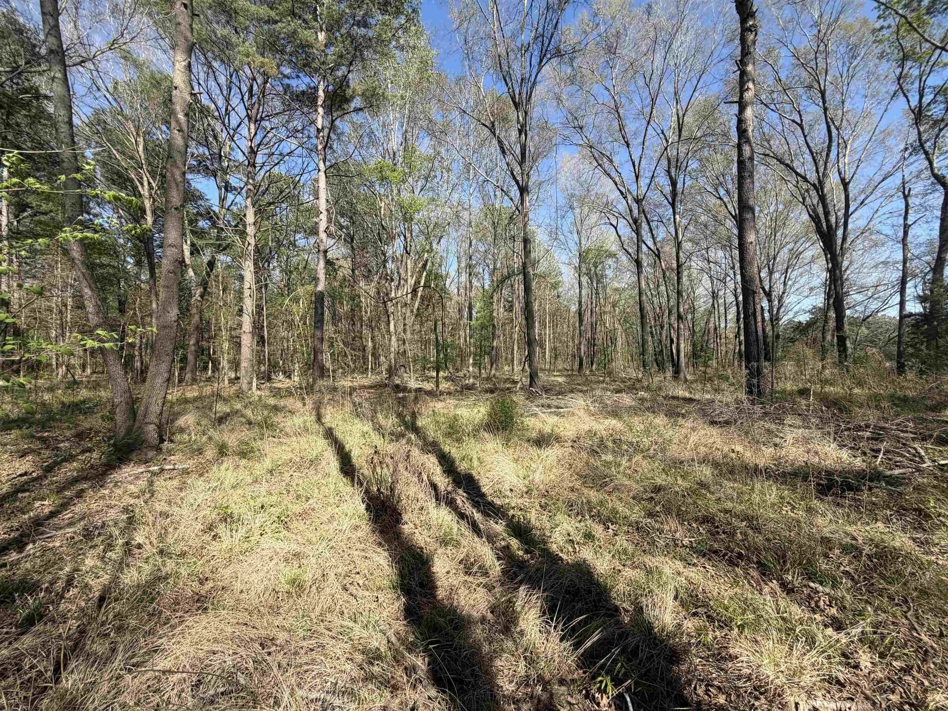 23.03 acres in Texas County - photo 14