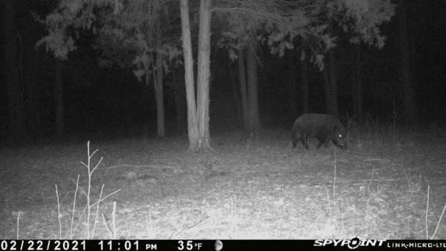 23.03 acres in Texas County - photo 19
