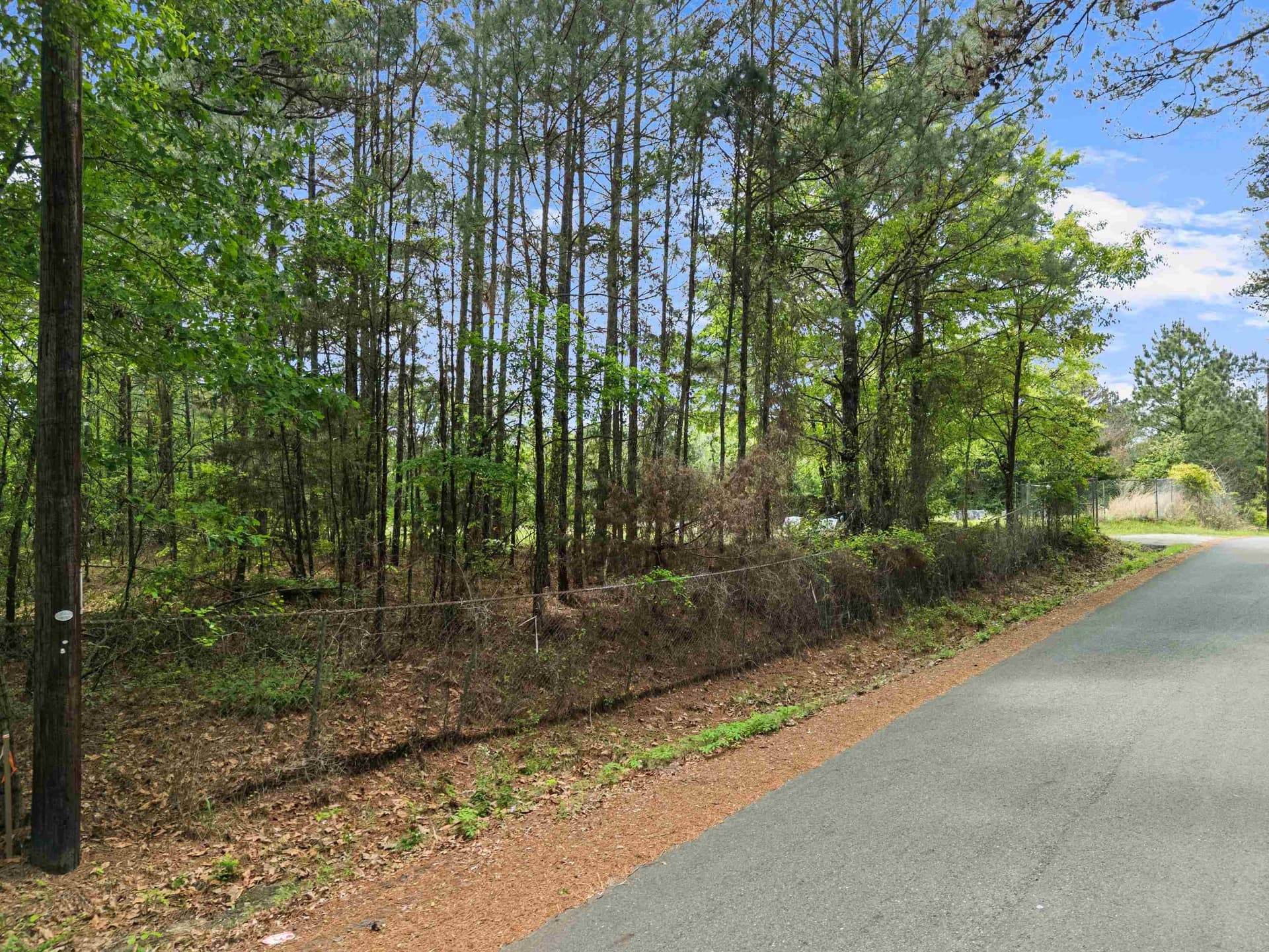 16.99 acres in Gregg County gallery image 2