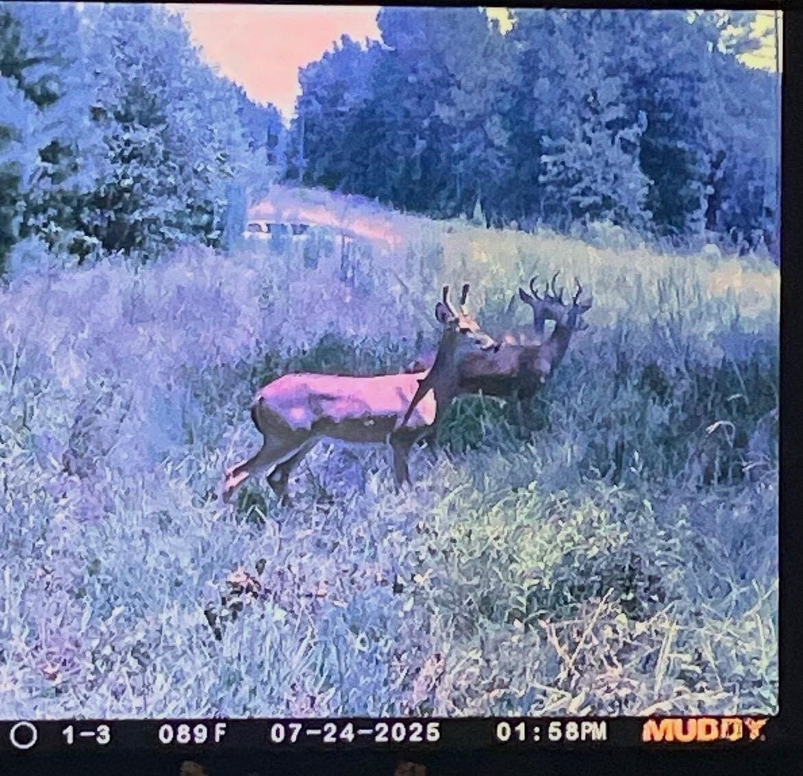 16.99 acres in Gregg County featured view