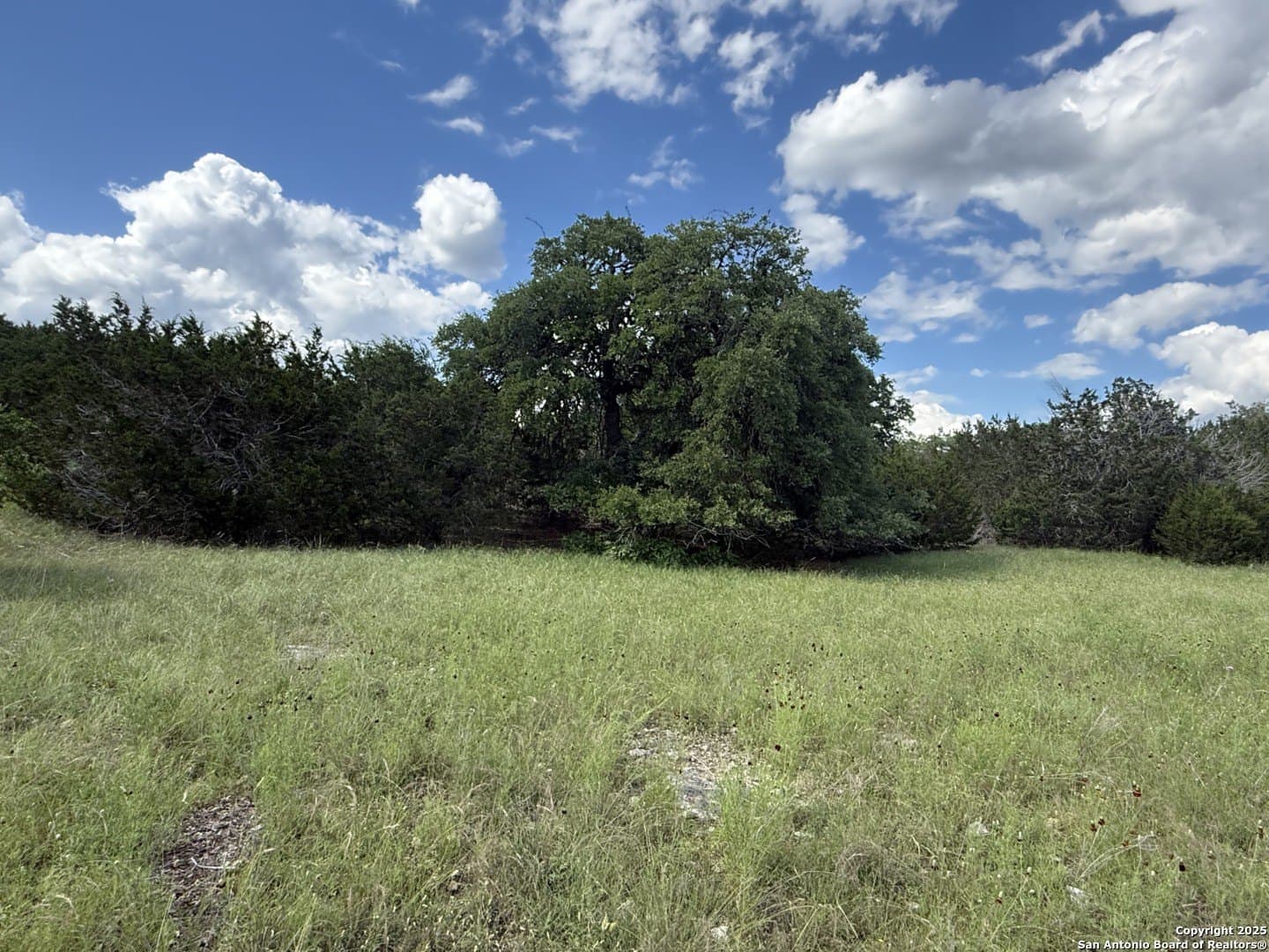 13.7 acres in Kendall County - photo 17