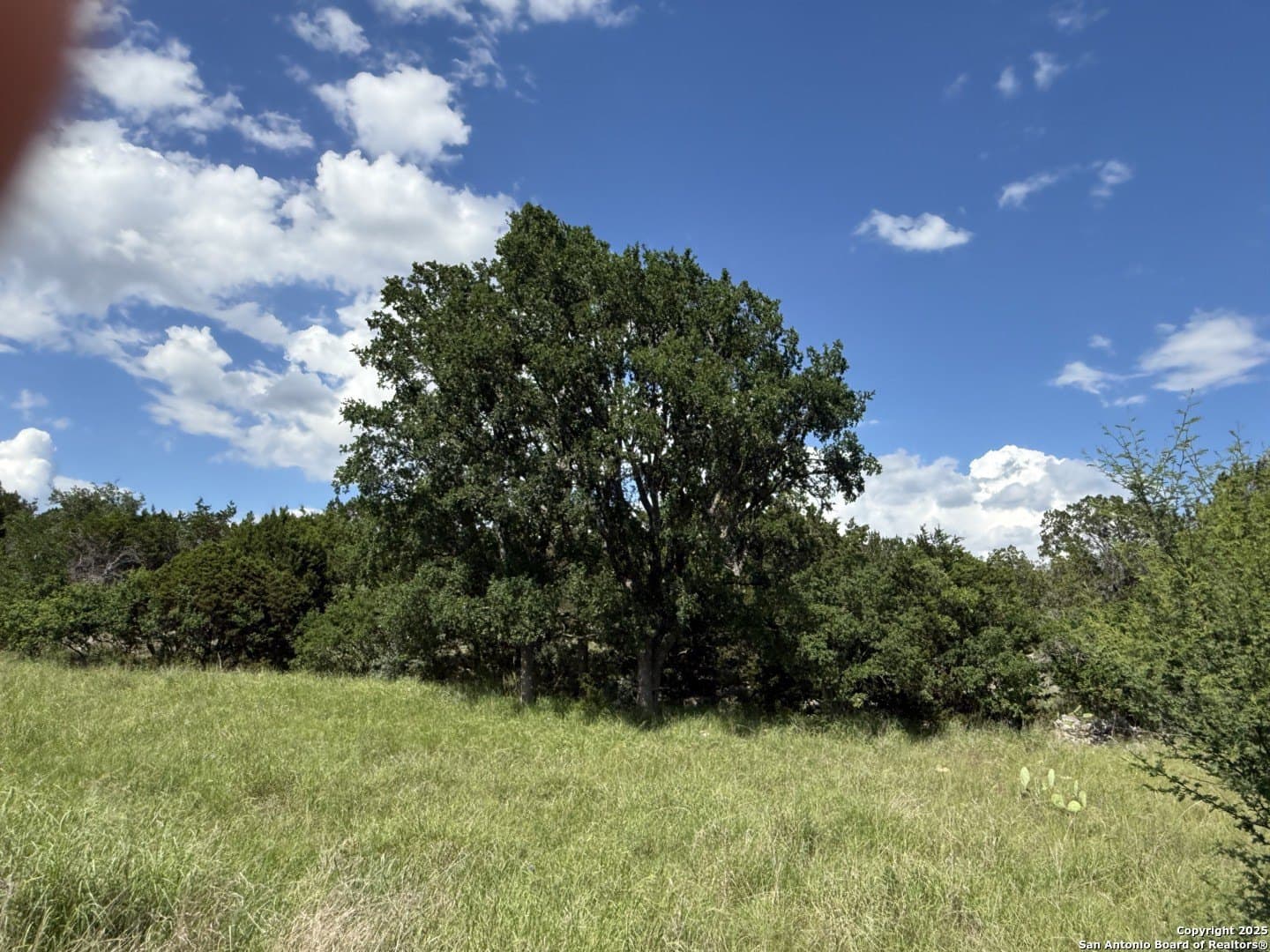 13.7 acres in Kendall County - photo 11