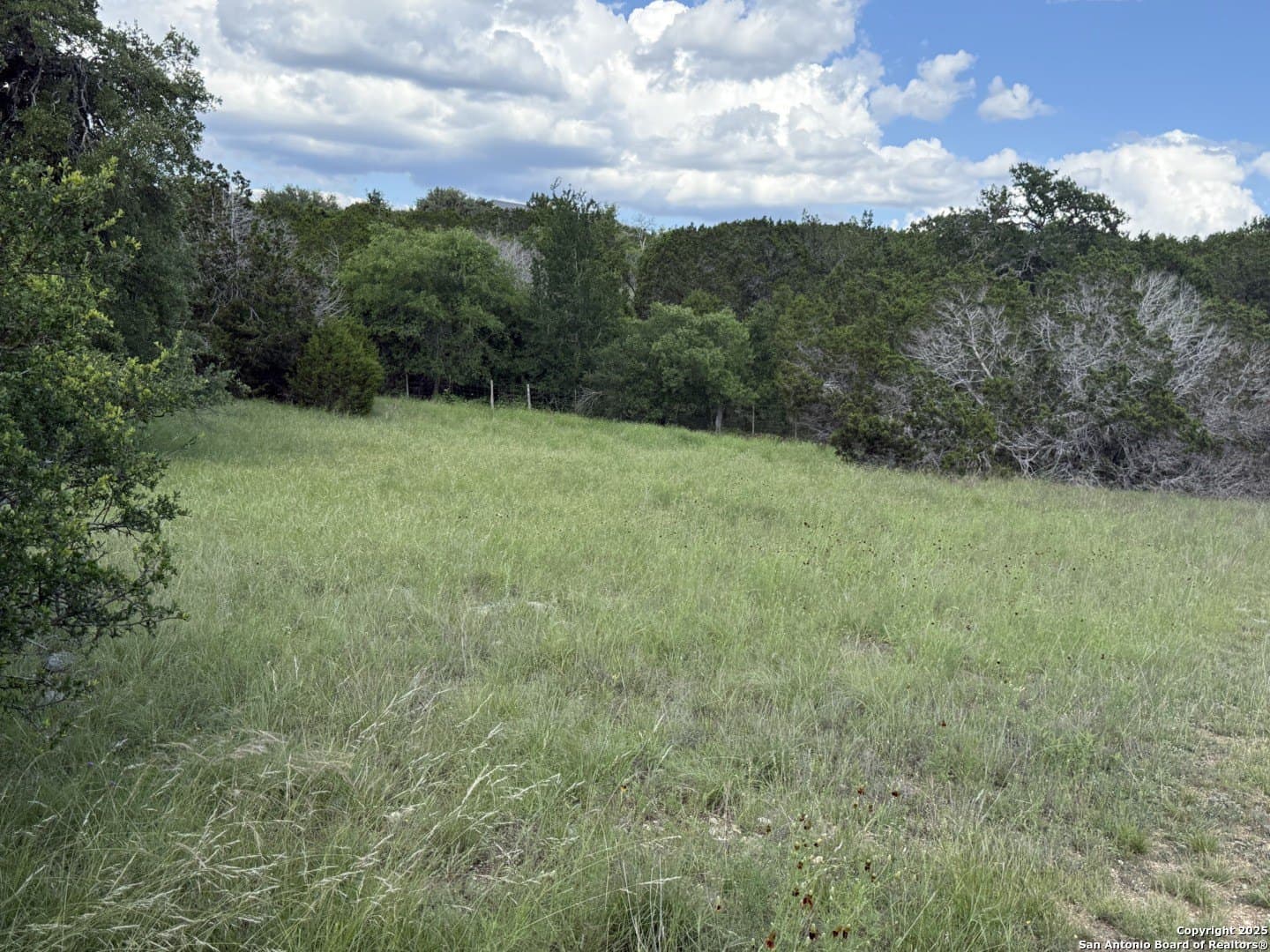 13.7 acres in Kendall County - photo 19