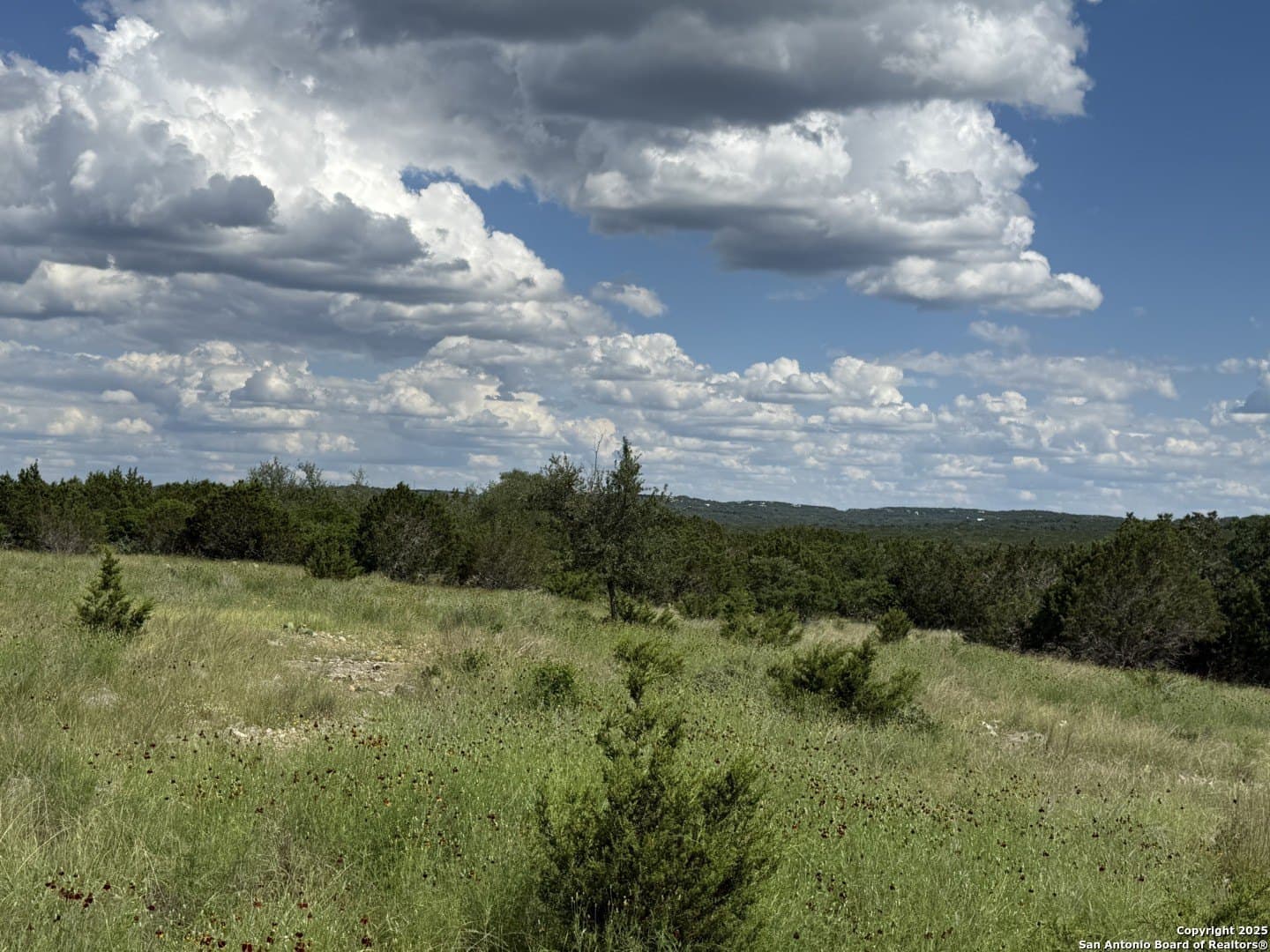 13.7 acres in Kendall County - photo 7