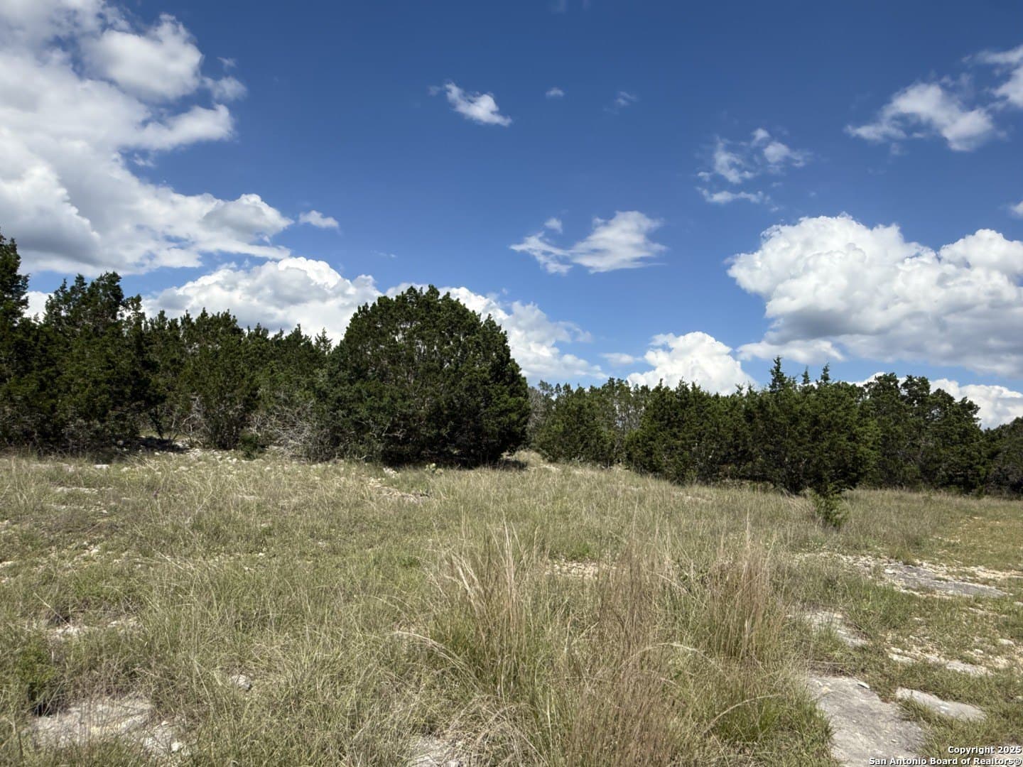 13.7 acres in Kendall County - photo 10