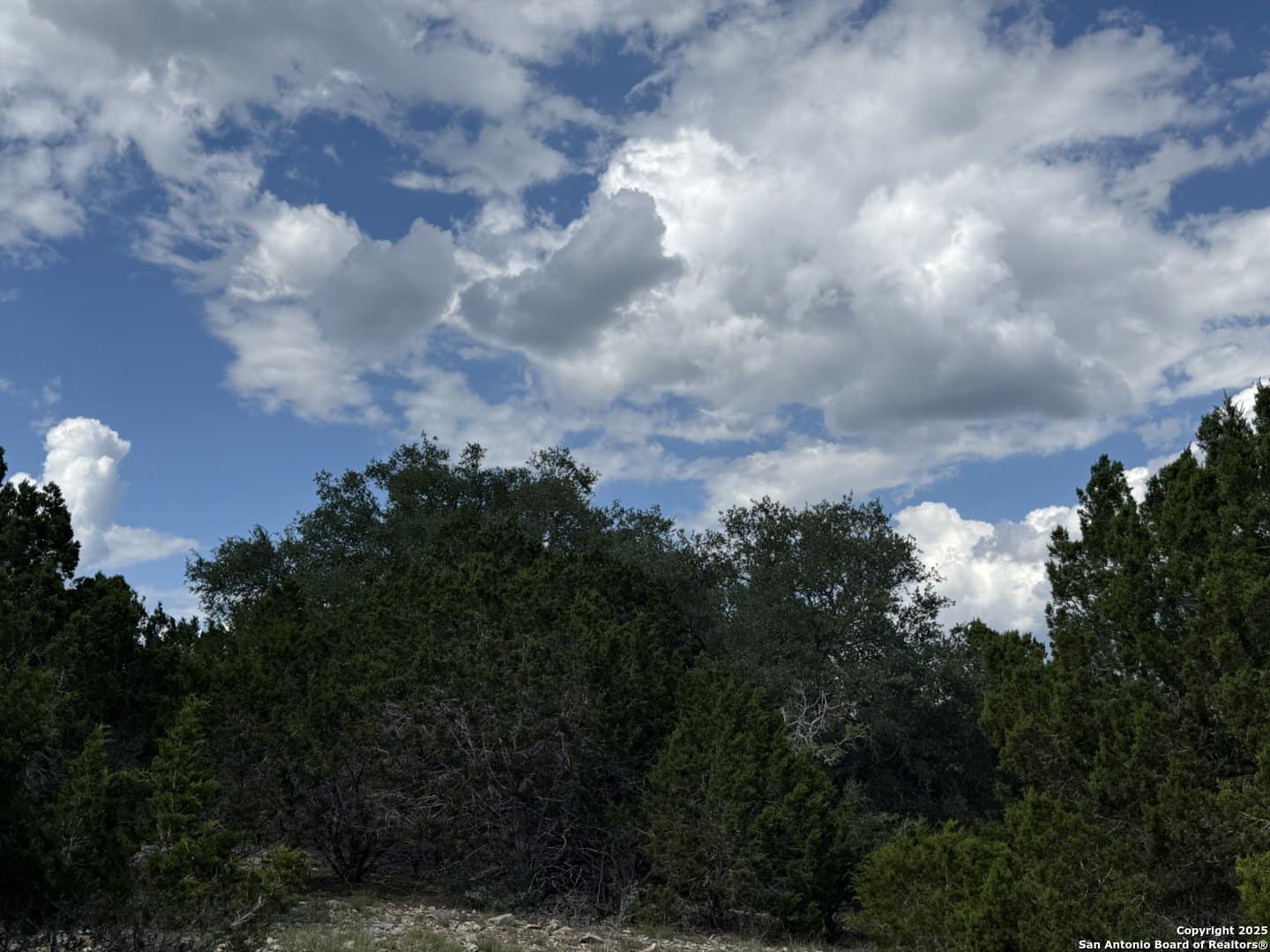 13.7 acres in Kendall County - photo 16