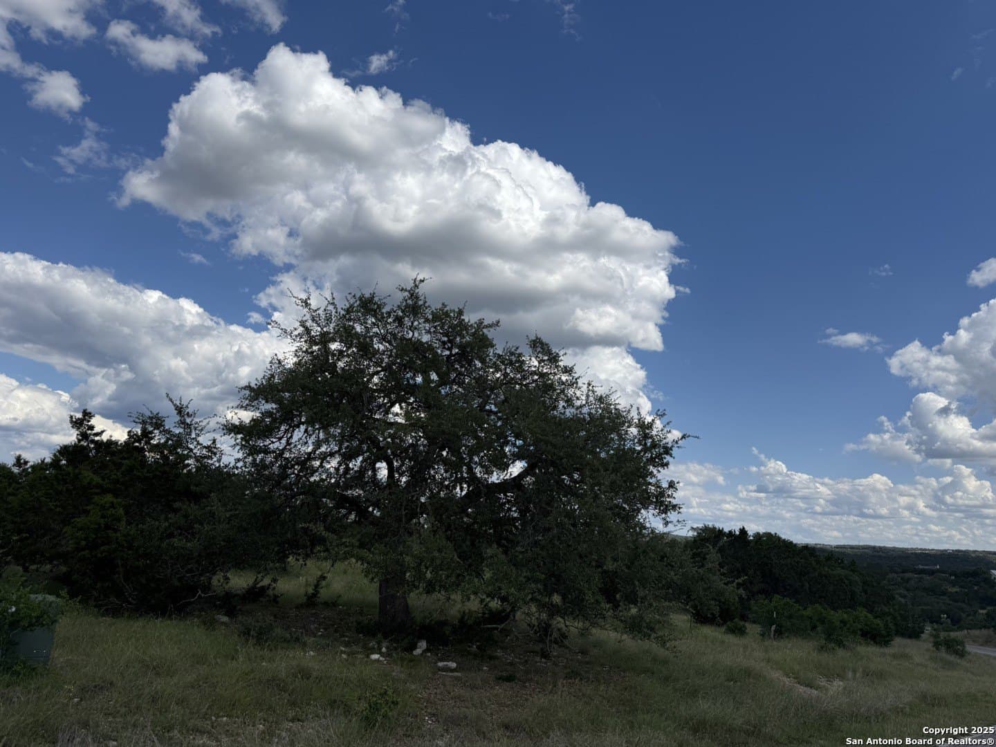 13.7 acres in Kendall County gallery image 3