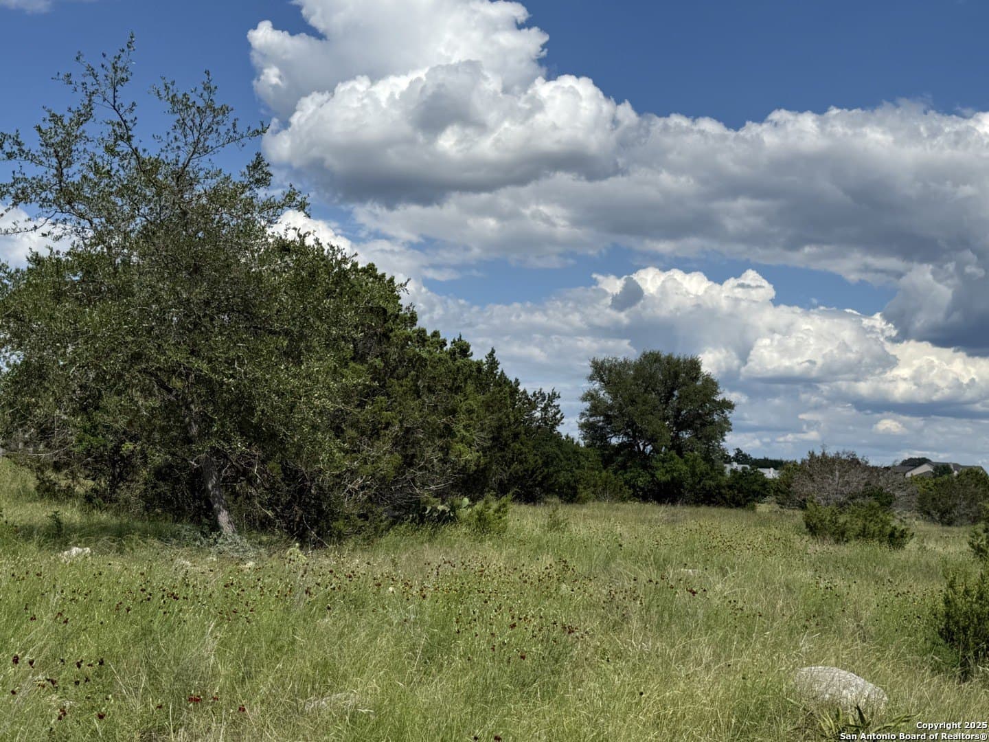 13.7 acres in Kendall County gallery image 4