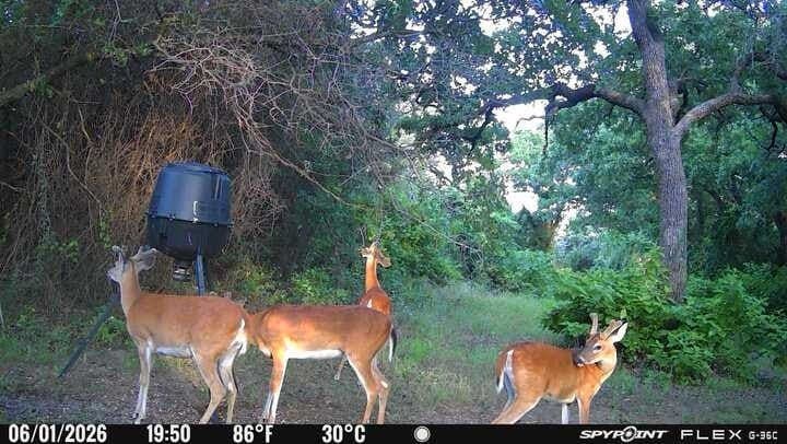 13.64 acres in Somervell County - photo 40