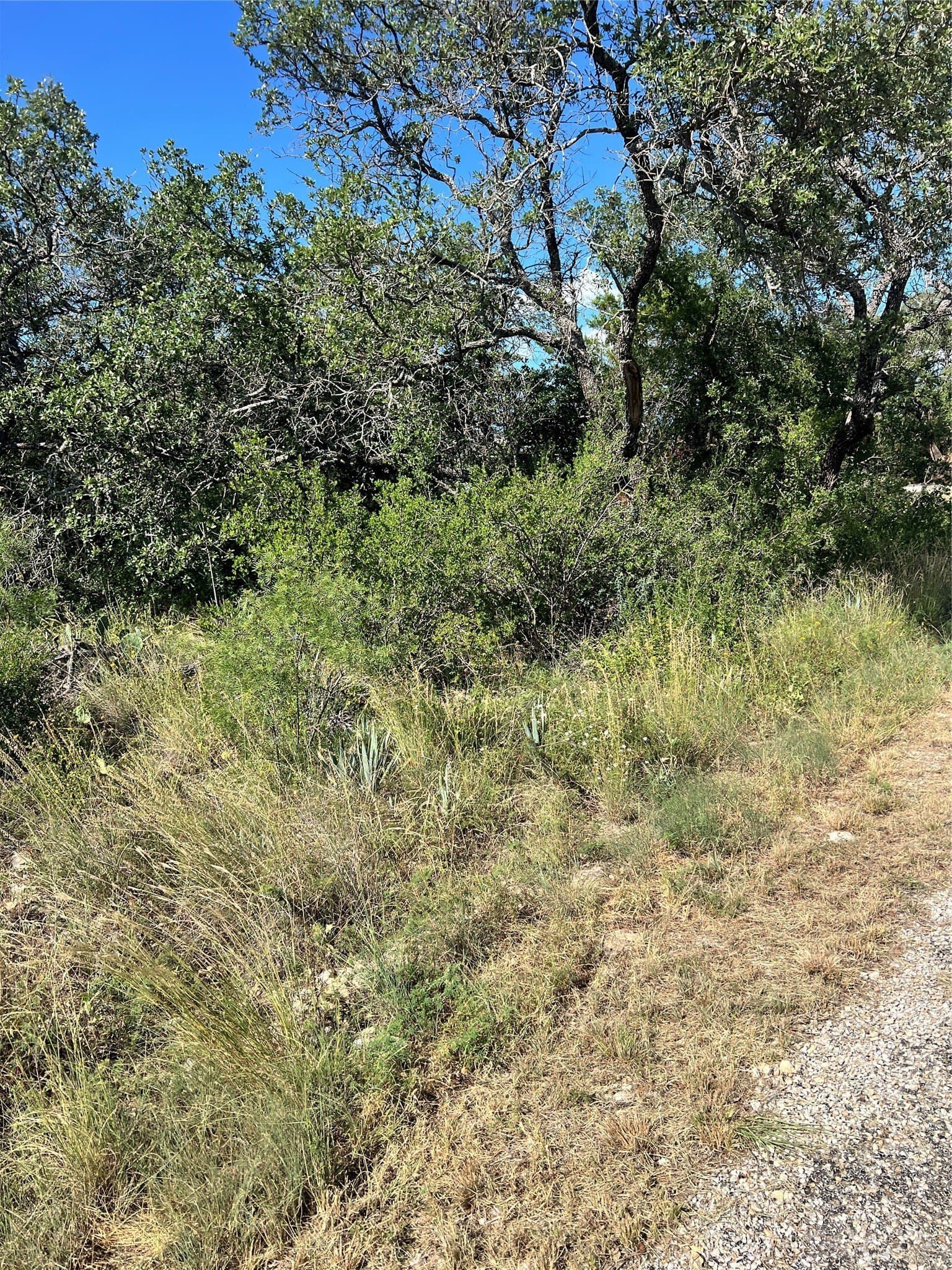 0.23 acres in Brown County gallery image 2