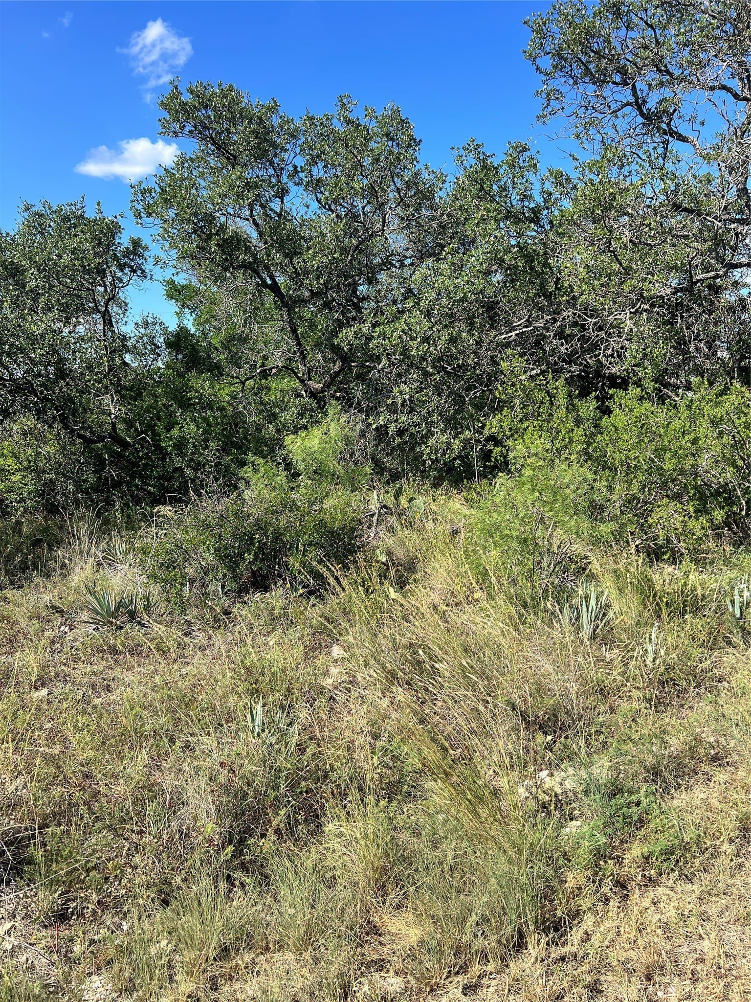 0.23 acres in Brown County gallery image 4