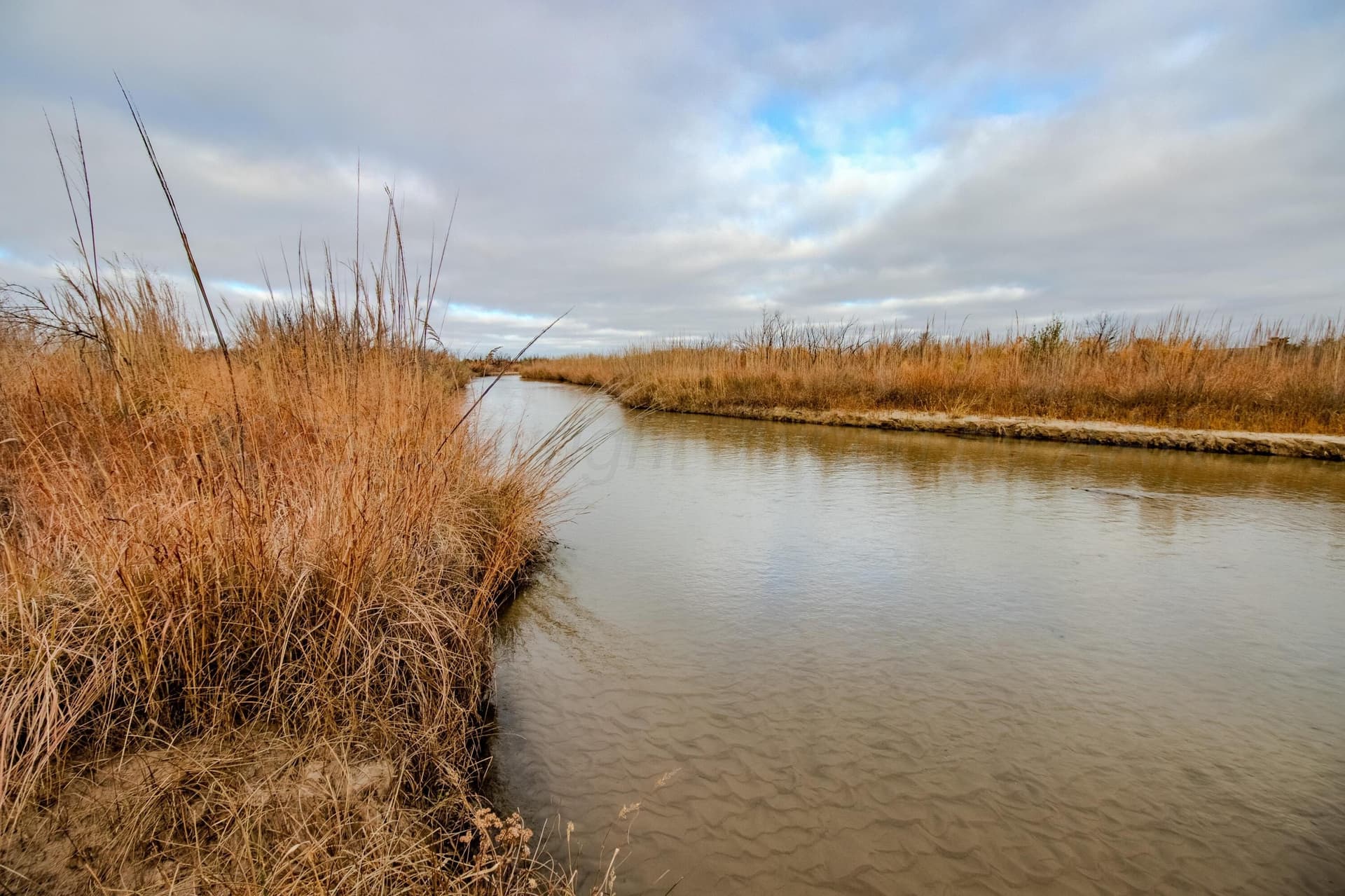 469.77 acres in Hemphill County