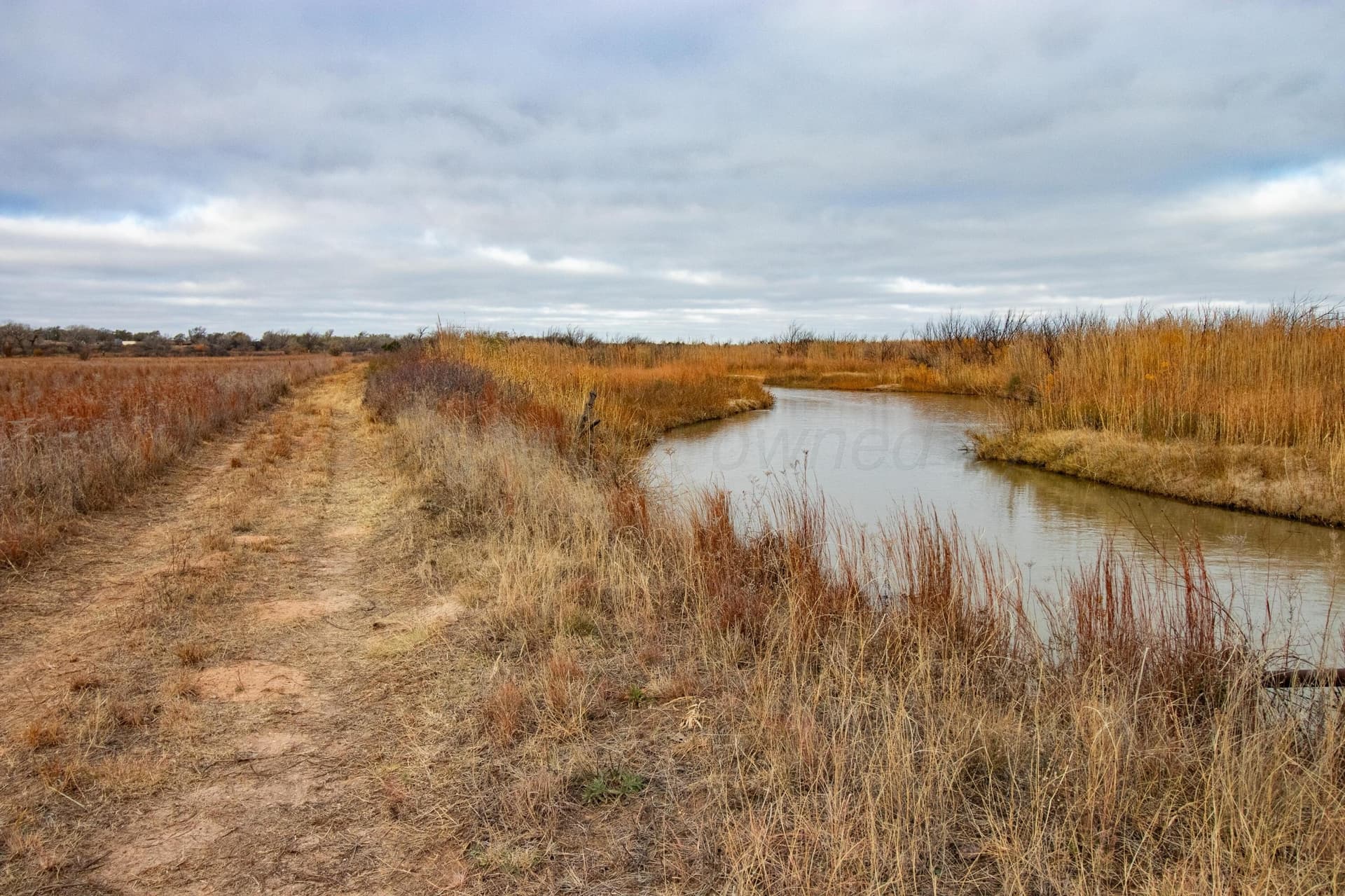 469.77 acres in Hemphill County gallery image 2