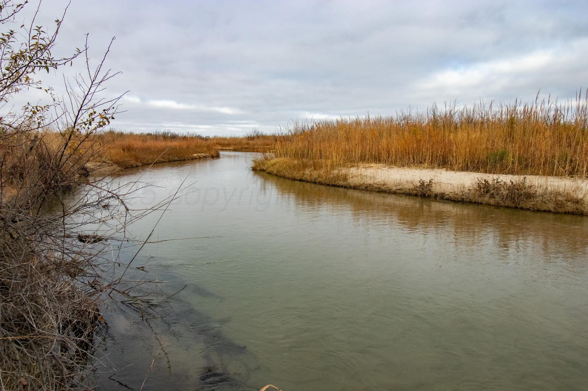 469.77 acres in Hemphill County gallery image 3