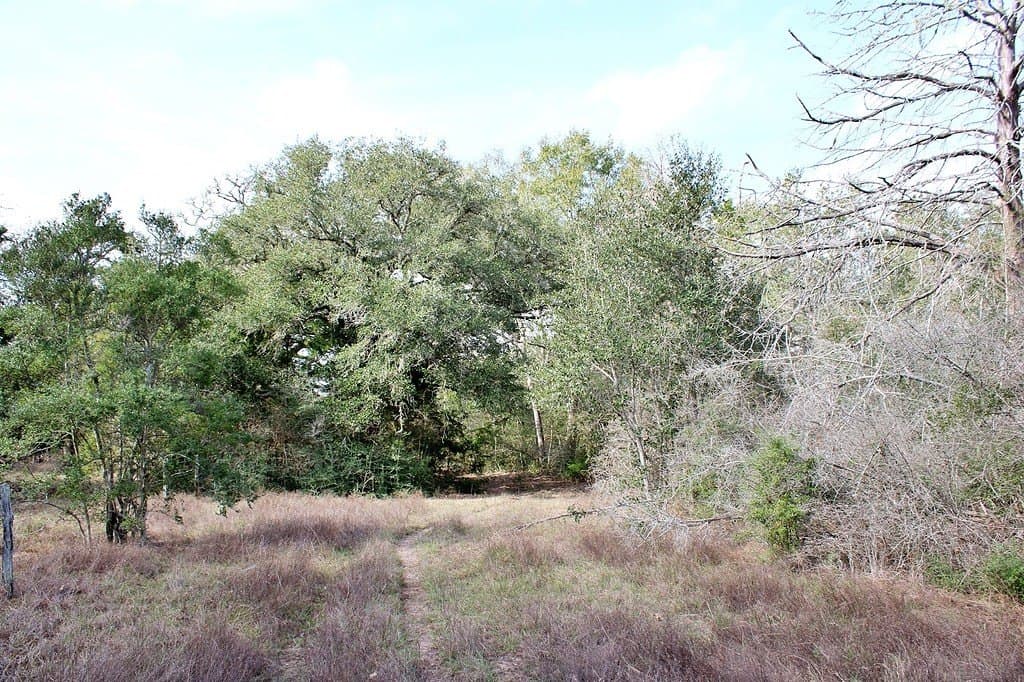 10 acres in Colorado County