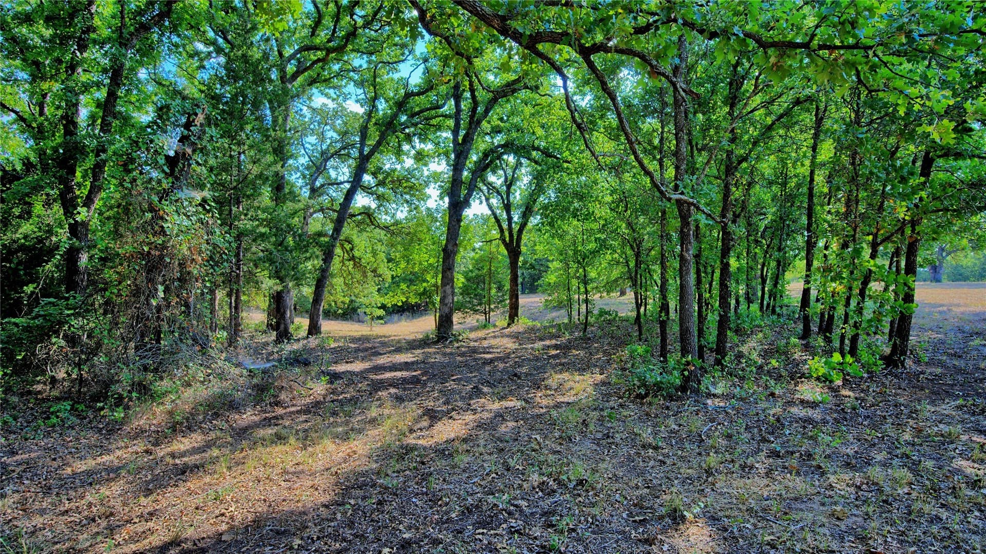 4.28 acres in Montague County - photo 26
