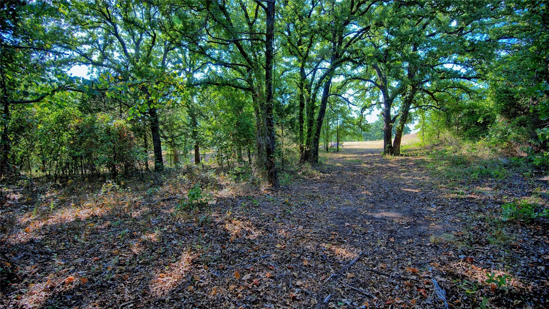 4.28 acres in Montague County - photo 21
