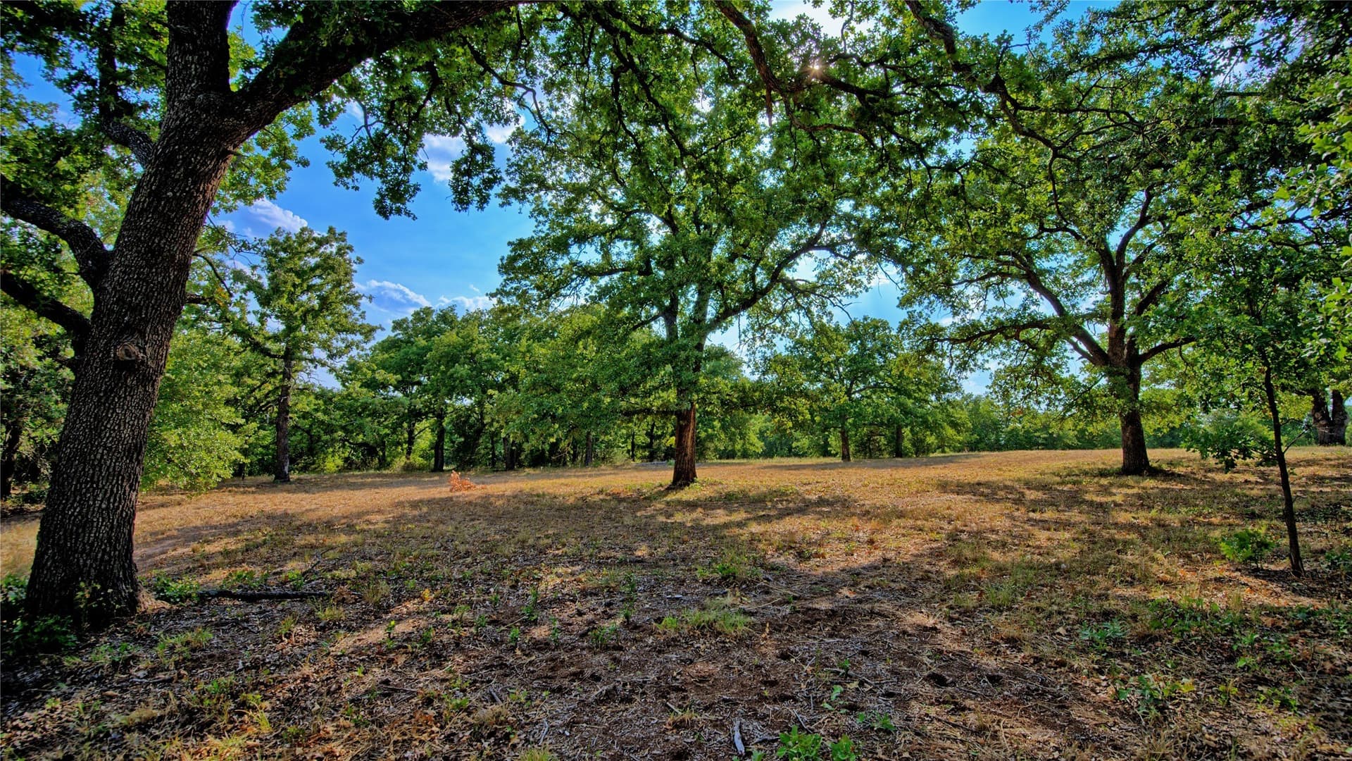 4.28 acres in Montague County - photo 5