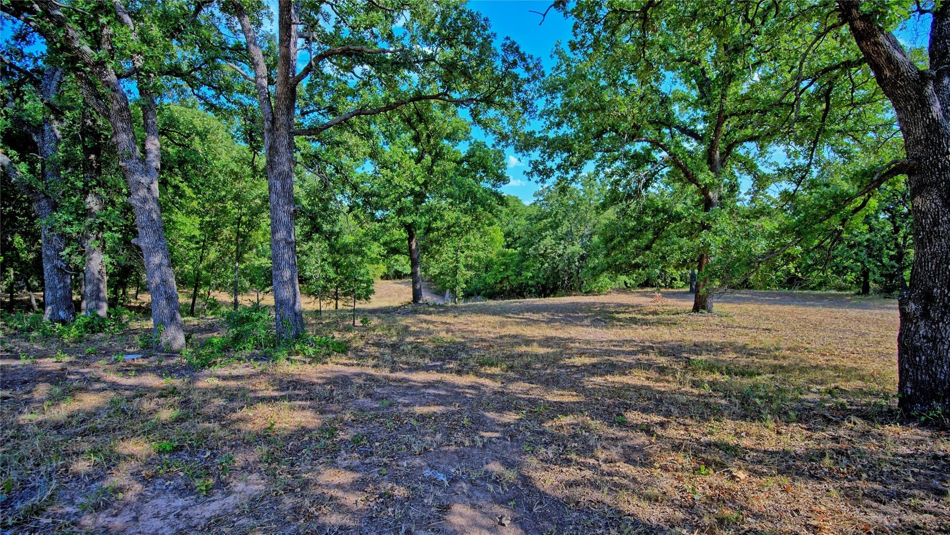 4.28 acres in Montague County - photo 24