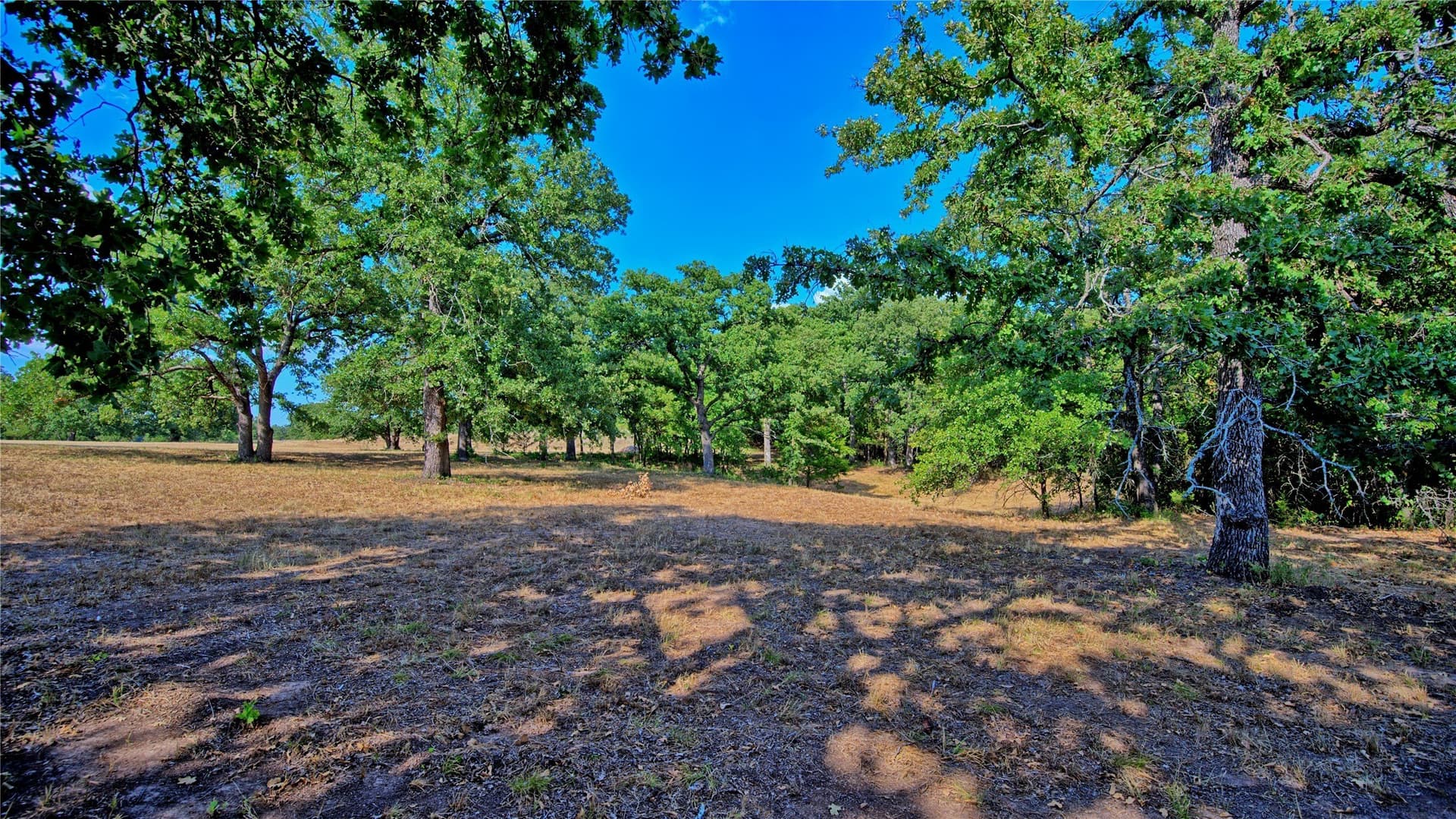 4.28 acres in Montague County - photo 6