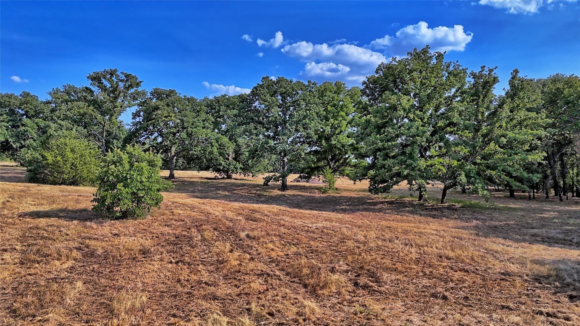4.28 acres in Montague County - photo 19