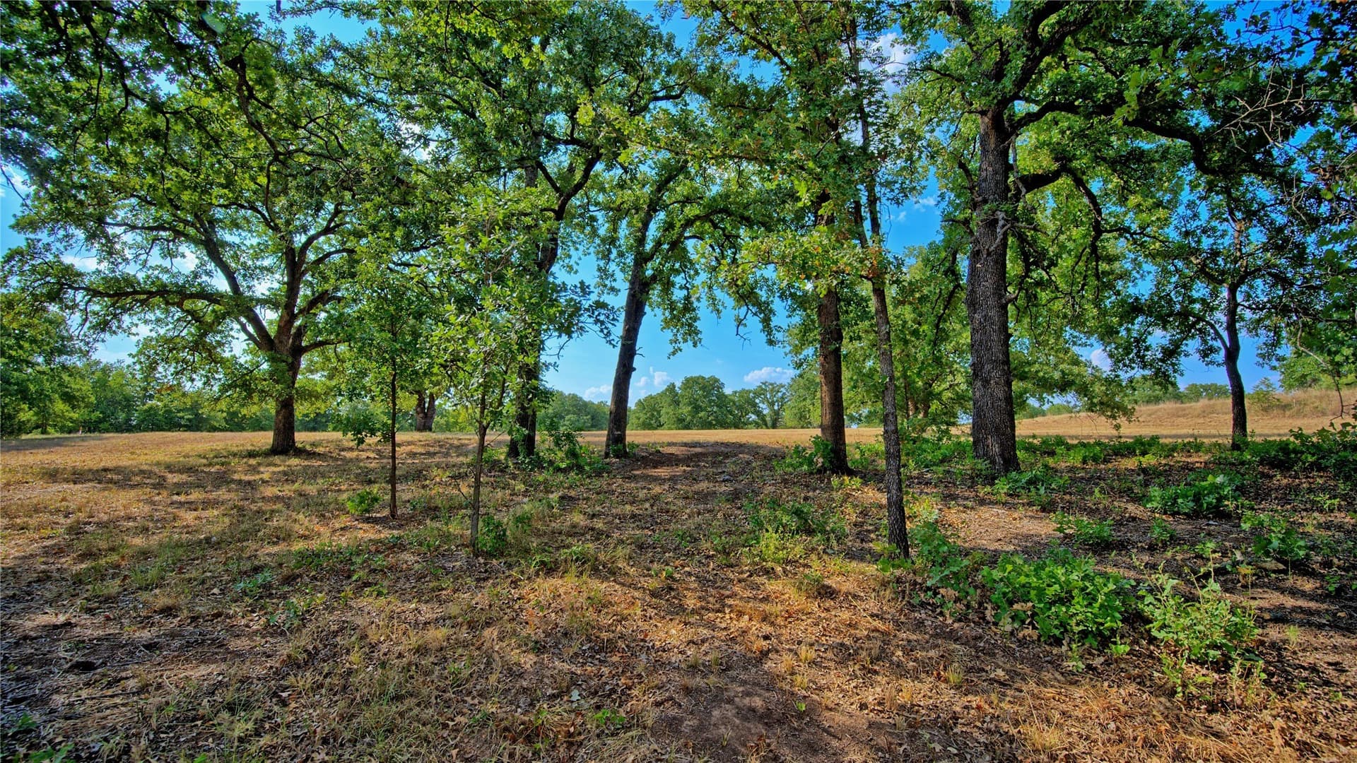 4.28 acres in Montague County - photo 7