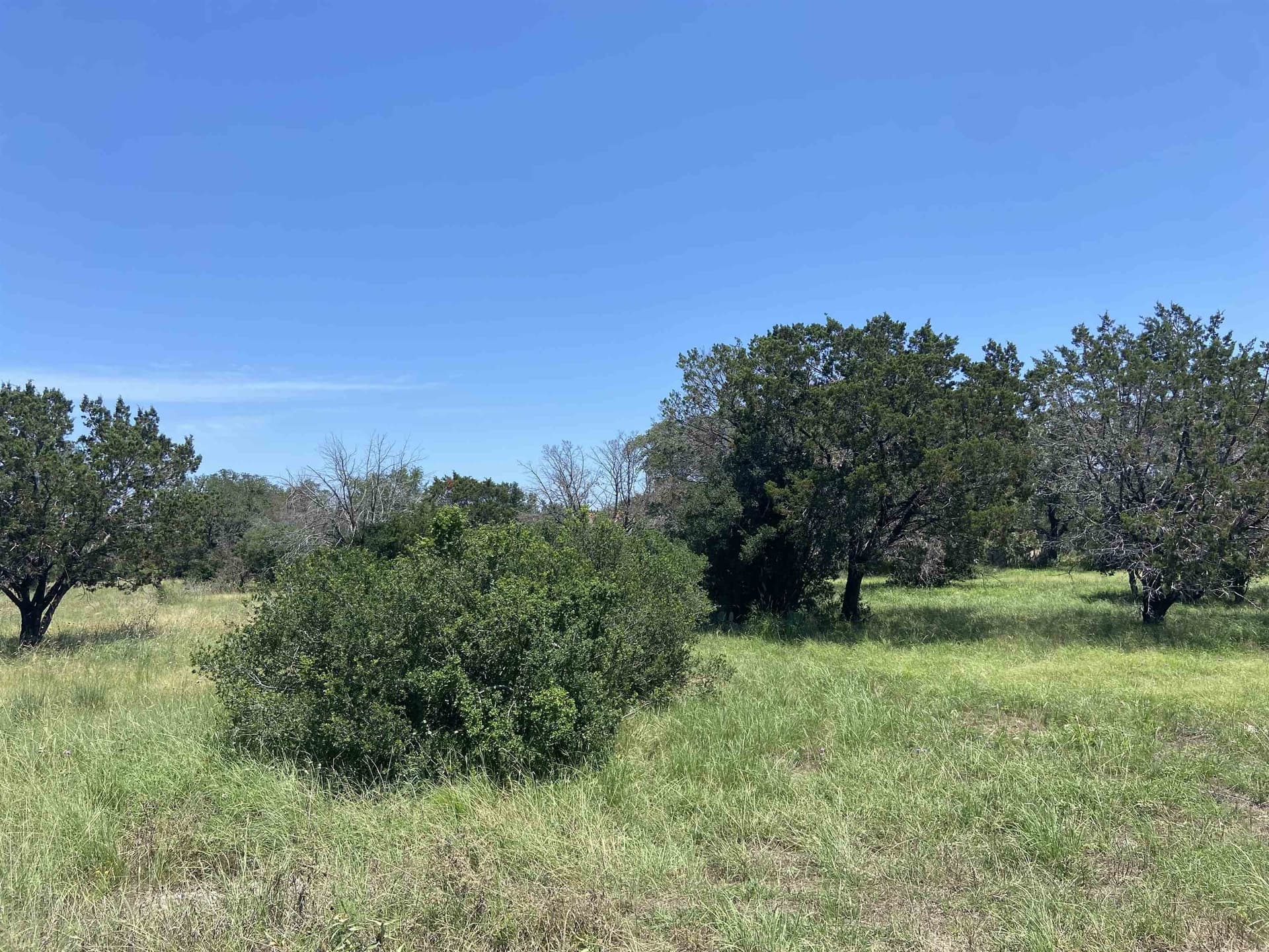 0.23 acres in Llano County gallery image 4