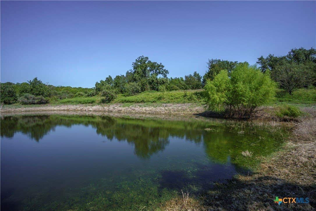 44.14 acres in Coryell County gallery image 3