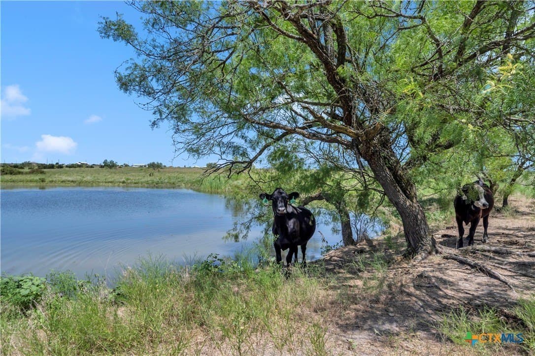 67 acres in Burnet County gallery image 3