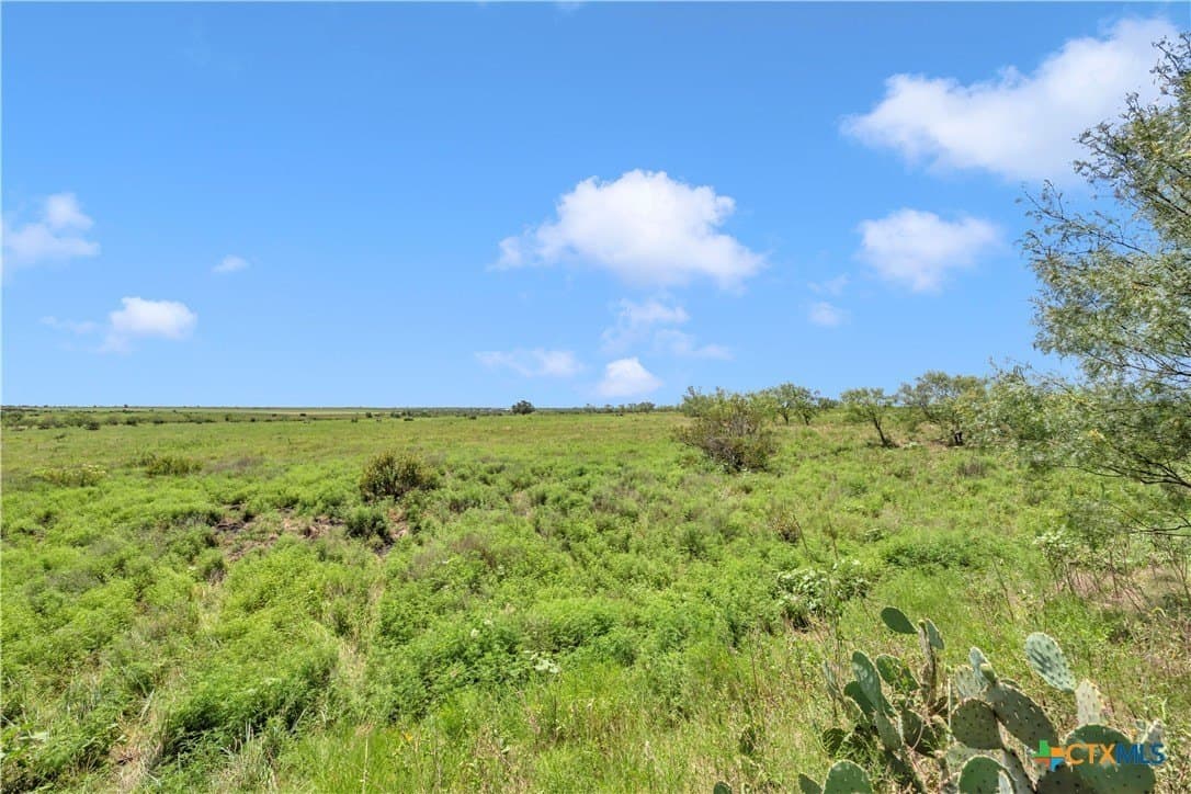67 acres in Burnet County - photo 22