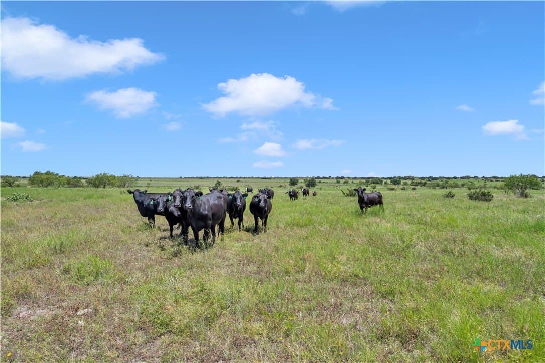 67 acres in Burnet County - photo 24