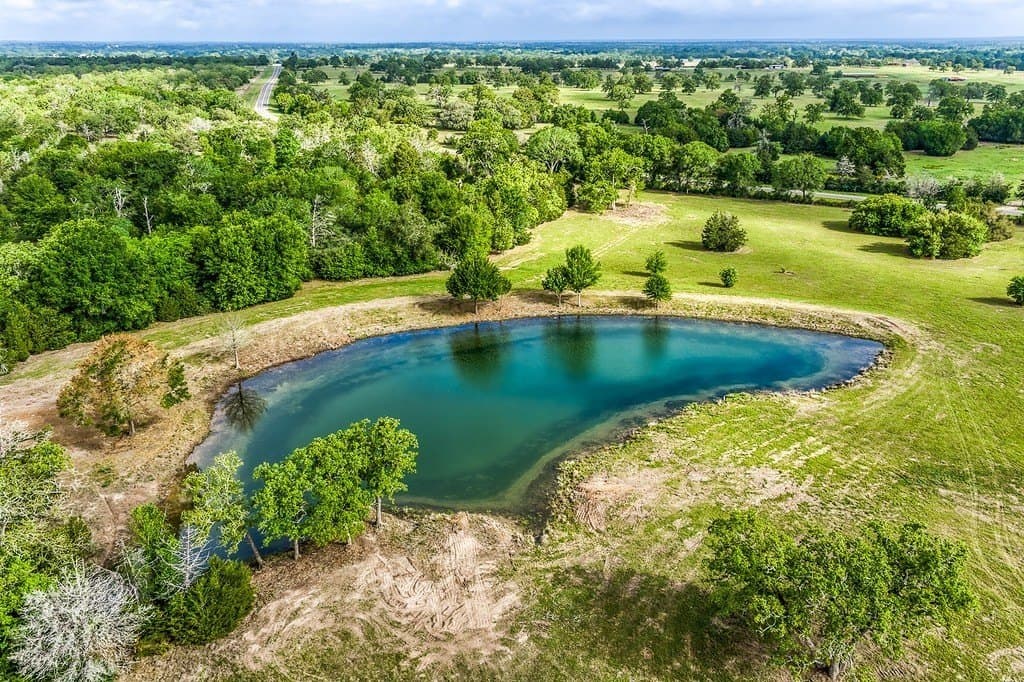 20 acres in Washington County gallery image 2