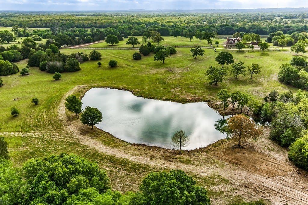 20 acres in Washington County gallery image 4