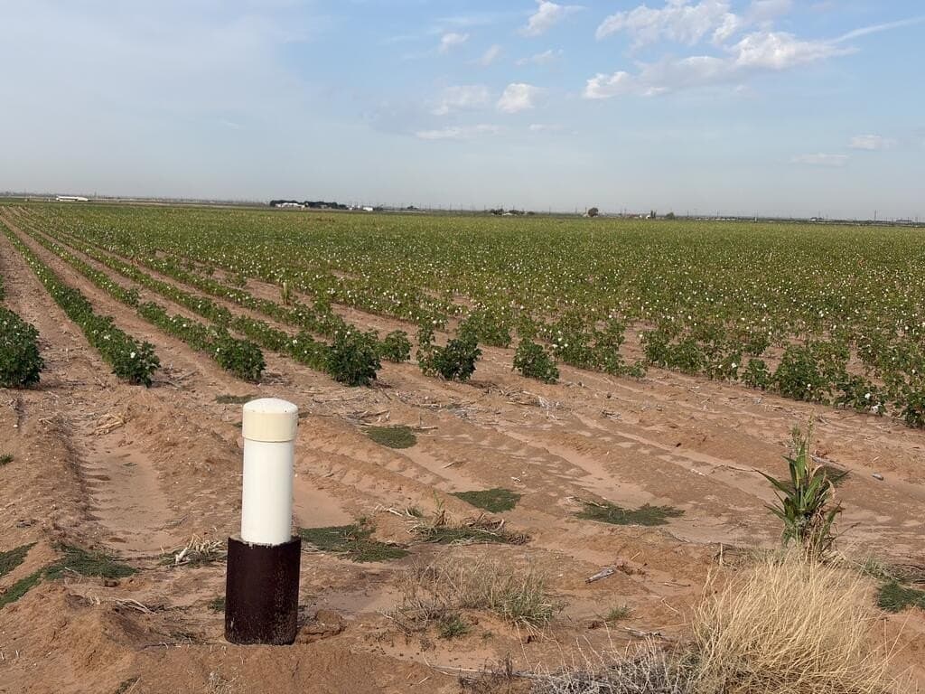 143 acres in Mitchell County - photo 2