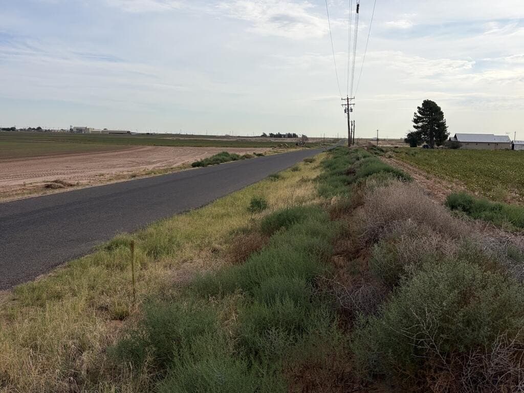 143 acres in Mitchell County - photo 3