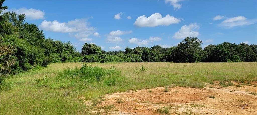 6.3 acres in Robertson County - photo 7