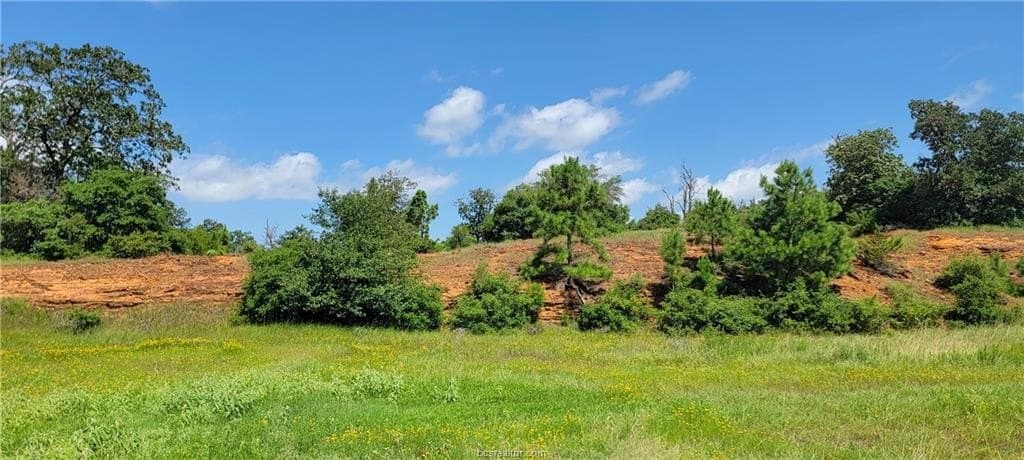 6.3 acres in Robertson County - photo 22