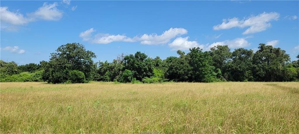 6.3 acres in Robertson County - photo 14