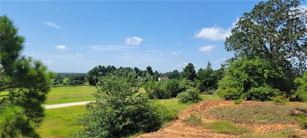 6.3 acres in Robertson County - photo 20