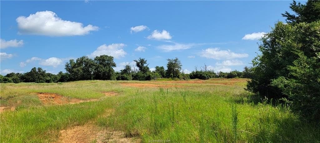 6.3 acres in Robertson County - photo 6