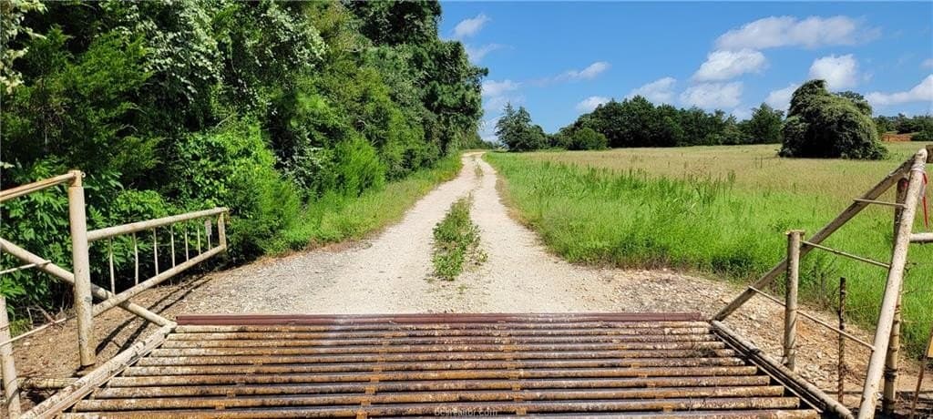 6.3 acres in Robertson County gallery image 3