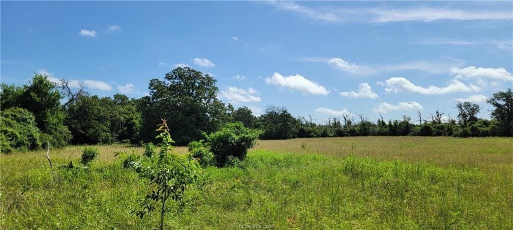6.3 acres in Robertson County - photo 11