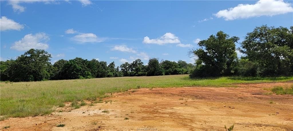 6.3 acres in Robertson County - photo 8