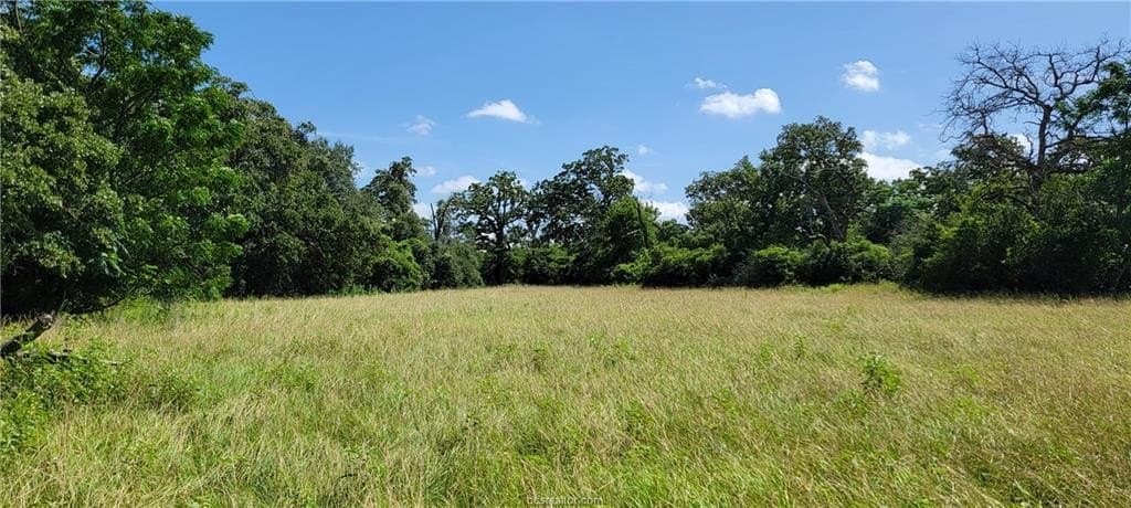 6.3 acres in Robertson County - photo 12