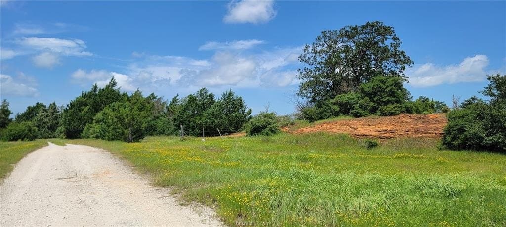 6.3 acres in Robertson County - photo 23
