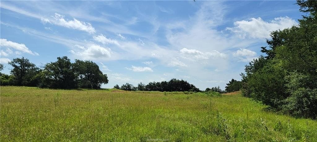 6.3 acres in Robertson County - photo 10